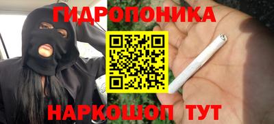 гидра Тула
