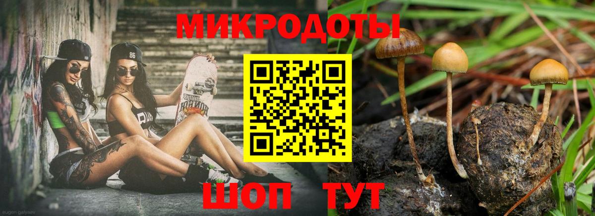 Отрадный  Галлюциногенные грибы мицелий  Вход с VPN 