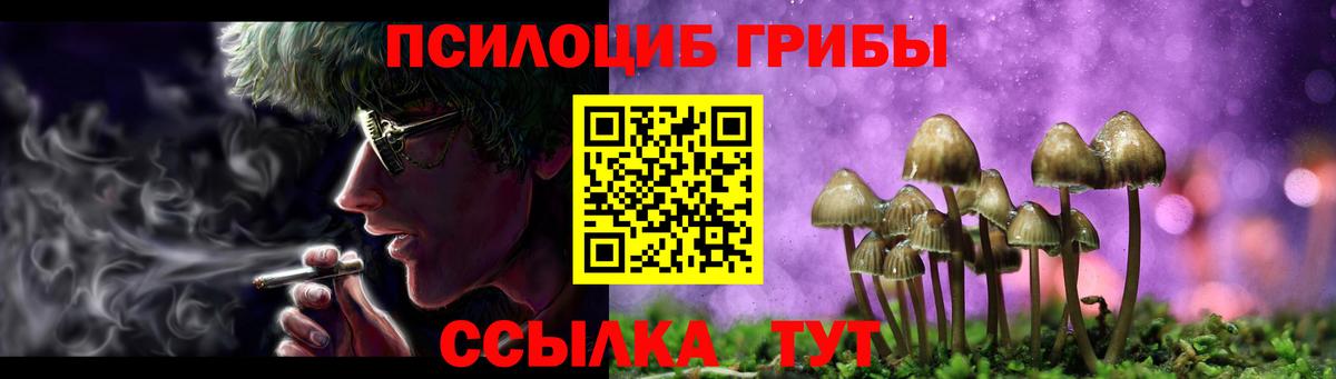 Псилоцибиновые грибы GOLDEN TEACHER Отрадный
